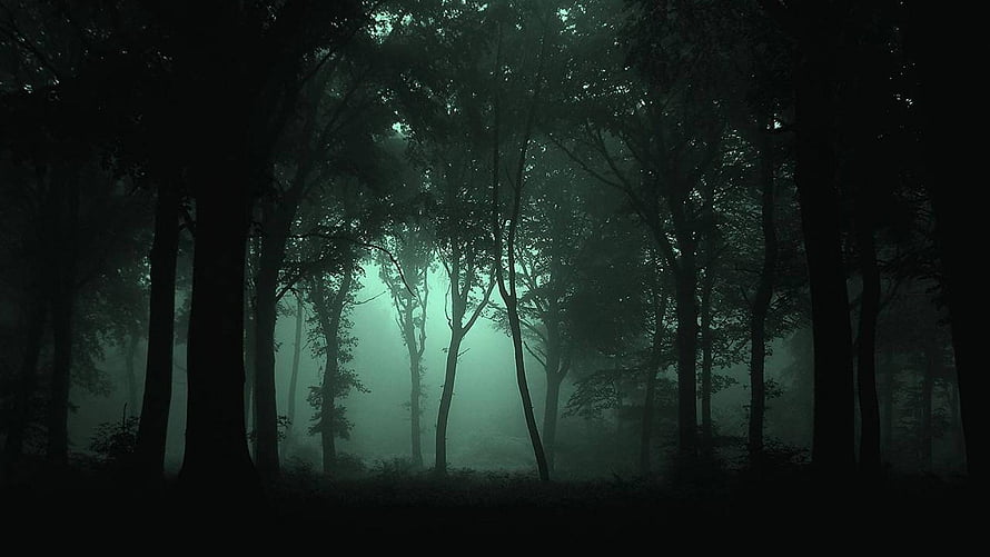 Eerie Misty Forest Scene with Dark Silhouetted Trees and Green Fog HD wallpaper