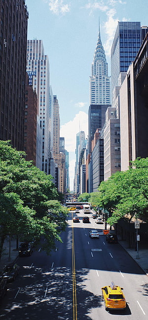 Chrysler Building View from Midtown Manhattan Street with Yellow Taxi and Lush Green Trees HD phone wallpaper