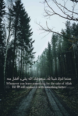 Misty Pine Forest Path With Islamic Quote Overlay HD phone wallpaper