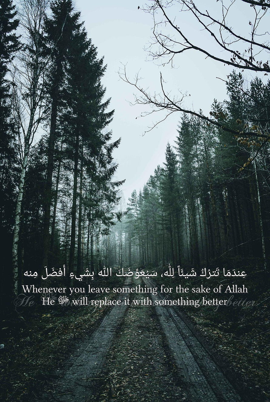 Misty Pine Forest Path With Islamic Quote Overlay HD phone wallpaper