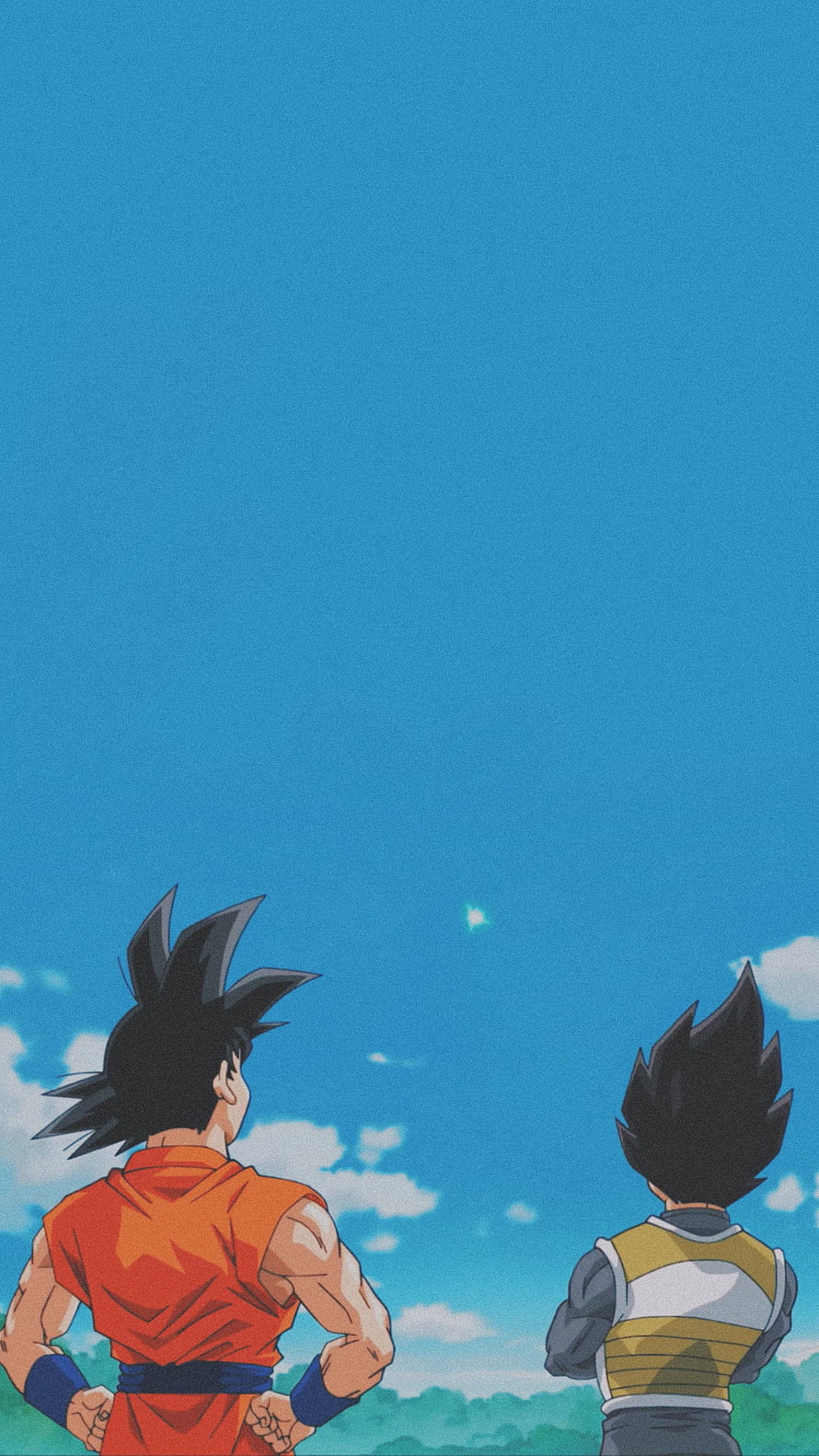 Goku and Vegeta Watching the Sky in Dragon Ball Z Anime Scene HD phone wallpaper