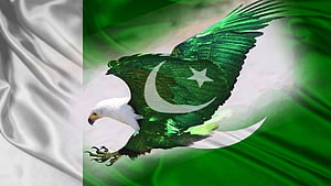Pakistan Independence Day Eagle with Crescent and Star on Green and White Flag HD wallpaper