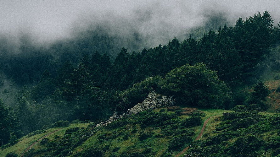 Misty Mountain Forest Landscape with Dark Green Aesthetic and Rocky Outcrop HD wallpaper