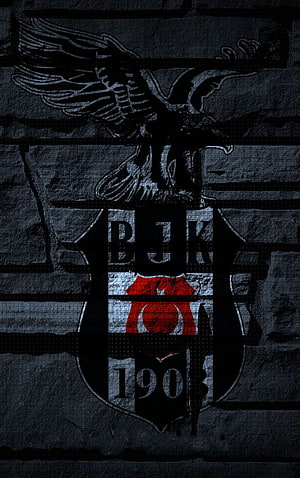 Beşiktaş JK 1903 Eagle Crest on Dark Stone Wall HD phone wallpaper