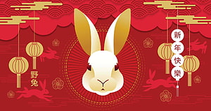 Chinese New Year 2023 Year of the Rabbit Festive Red and Gold Lantern Illustration HD wallpaper