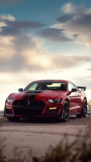 Red Ford Mustang Shelby GT500 with Black Racing Stripes Under Dramatic Sky HD phone wallpaper