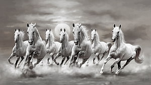 Seven White Horses Galloping in Dramatic Black and White Landscape HD wallpaper