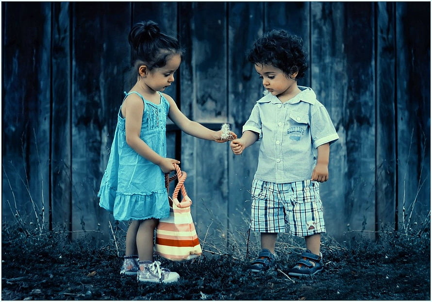 Young Brother And Sister Sharing Dandelion Fluff Against Rustic Wooden Fence HD wallpaper