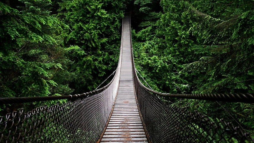 Wooden Suspension Bridge Crossing Through Lush Kerala Rainforest Canopy HD wallpaper