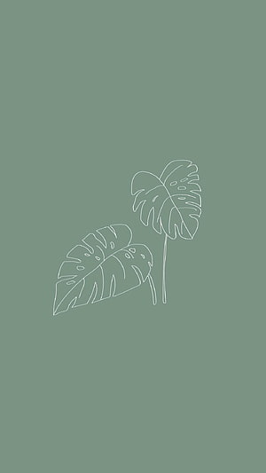Minimalist Monstera Leaf Line Art on Sage Green Background HD phone wallpaper