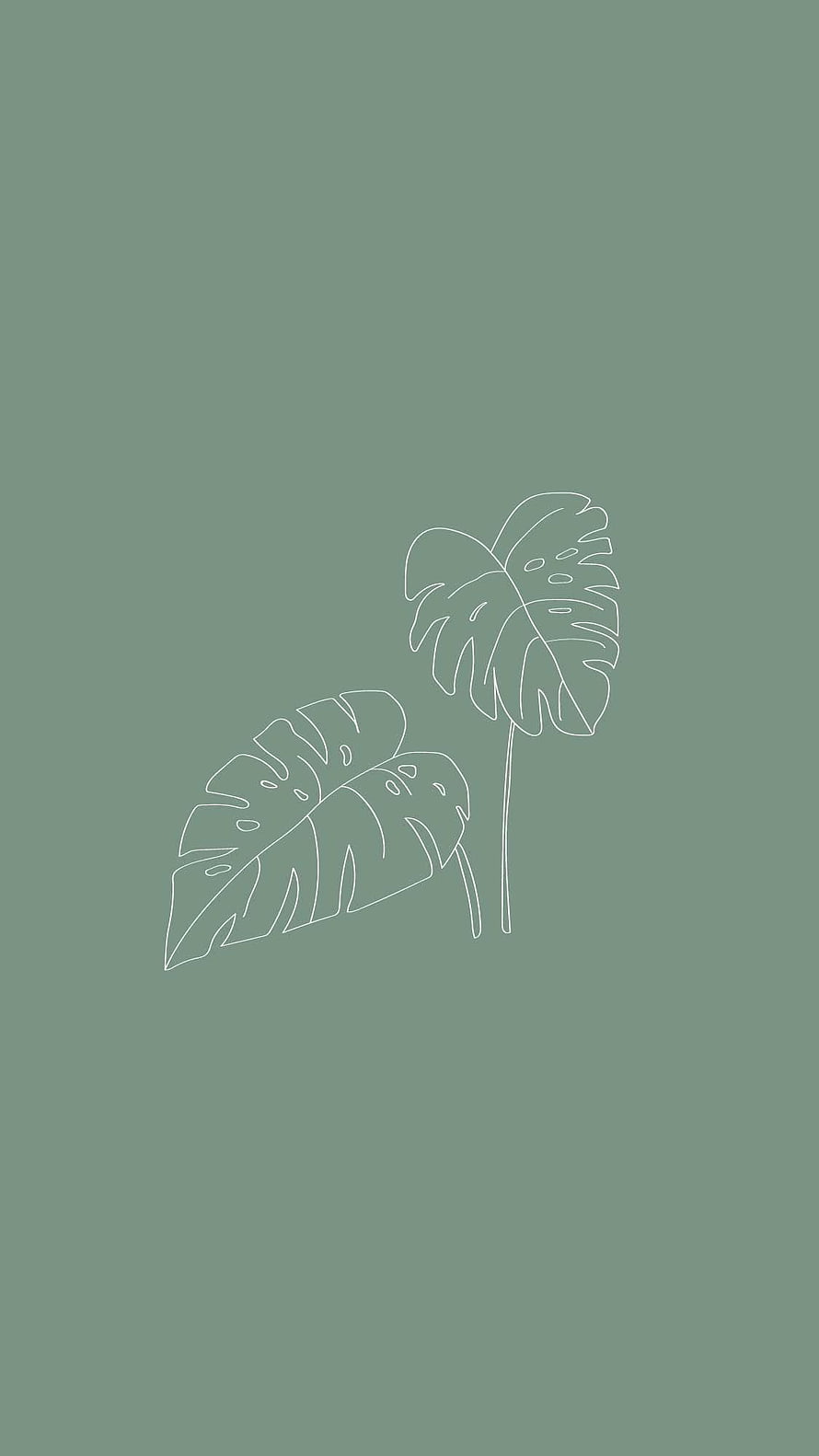 Minimalist Monstera Leaf Line Art on Sage Green Background HD phone wallpaper
