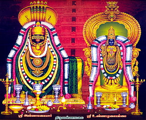 Thiruvannamalai Temple Deities with Traditional Offerings and Temple Architecture HD wallpaper