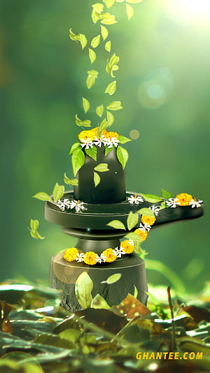 Sacred Shivling adorned with marigold garlands and falling green leaves in a serene forest setting HD phone wallpaper