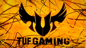 TUF Gaming Black Winged Emblem on Fiery Orange Grunge Background HD wallpaper