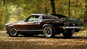 Classic 1967 Ford Mustang Fastback Parked on Autumn Forest Trail HD wallpaper
