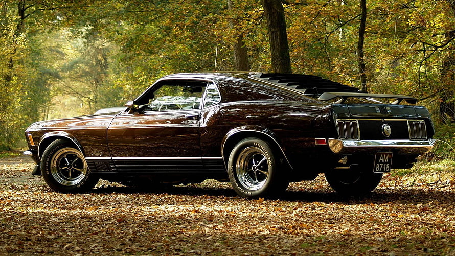 Classic 1967 Ford Mustang Fastback Parked on Autumn Forest Trail HD wallpaper