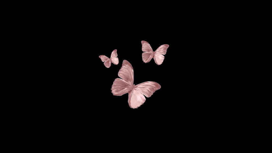 Three Delicate Pink Butterflies Floating Against a Minimalist Black Background HD wallpaper