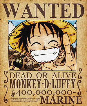 Monkey D. Luffy Wanted Poster from One Piece Anime Series HD phone wallpaper