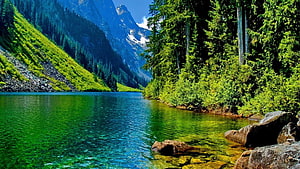 Serene Alpine Lake with Turquoise Water and Lush Forested Mountains HD wallpaper