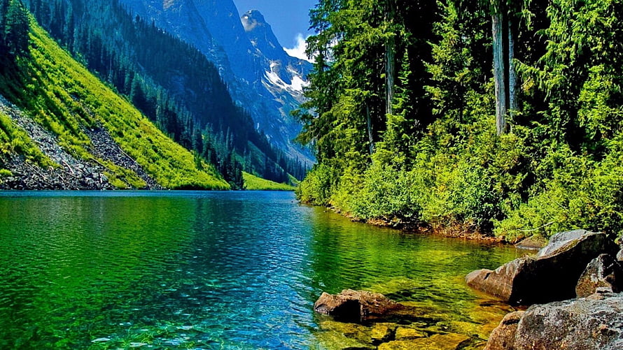 Serene Alpine Lake with Turquoise Water and Lush Forested Mountains HD wallpaper