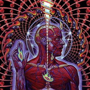 Tool Lateralus Album Artwork Featuring Anatomical Figure and Psychedelic Mandala HD phone wallpaper