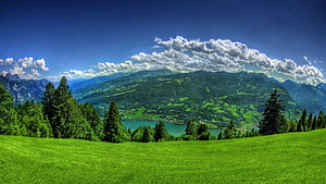 Vibrant Alpine Meadow with Turquoise Lake and Mountain Range Under Dramatic Sky HD wallpaper