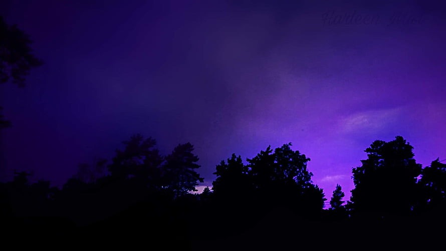 Purple Twilight Sky Over Silhouetted Forest Trees HD wallpaper