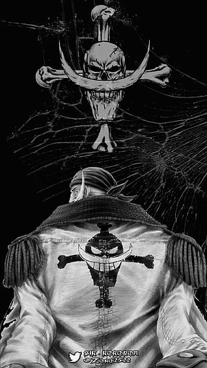 Whitebeard Pirate Flag and Edward Newgate Jolly Roger in Black and White HD phone wallpaper