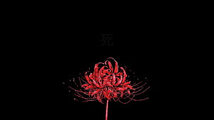 Red Spider Lily on Black Background with Japanese Death Character HD wallpaper