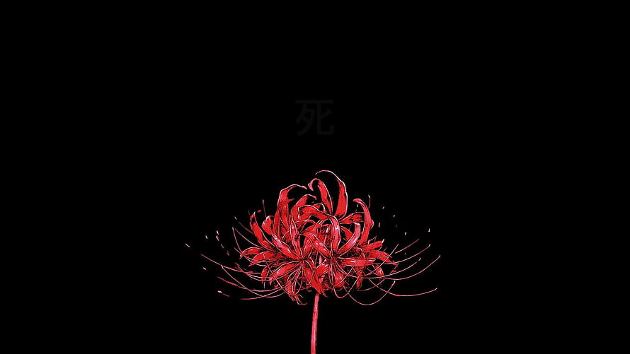 Red Spider Lily on Black Background with Japanese Death Character HD wallpaper