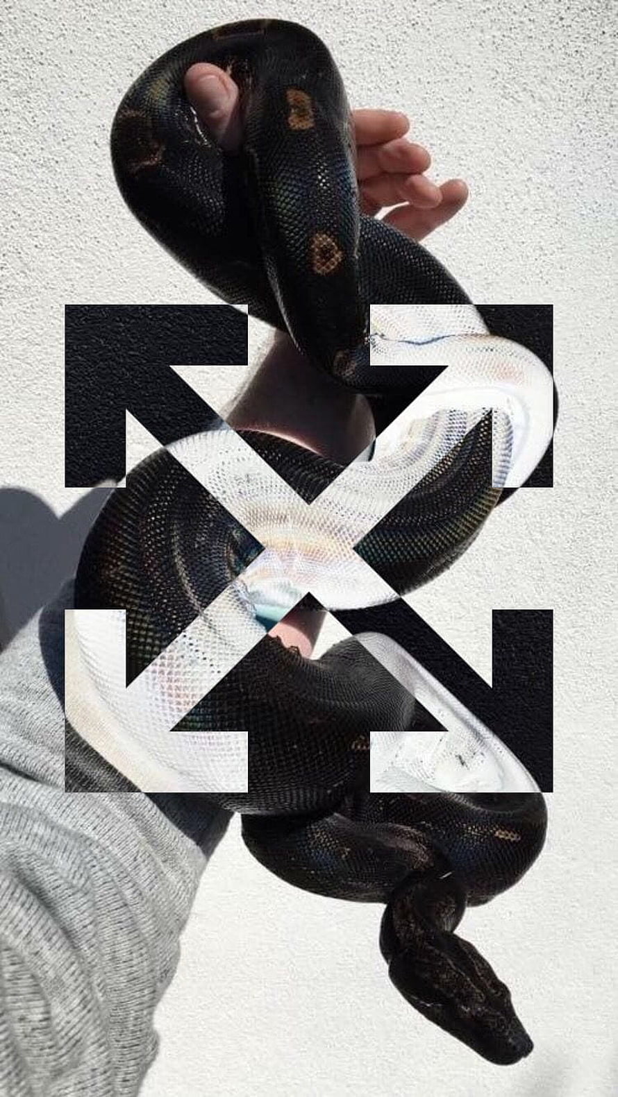 KAWS Companion Figure Wrapped in Black Snake with Off White Sneakers HD phone wallpaper