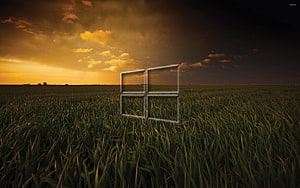 Windows 10 Logo Floating Over Golden Wheat Field at Sunset HD wallpaper