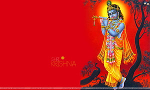 Lord Krishna Playing Flute in Vibrant Yellow Garments Against Red Background HD wallpaper