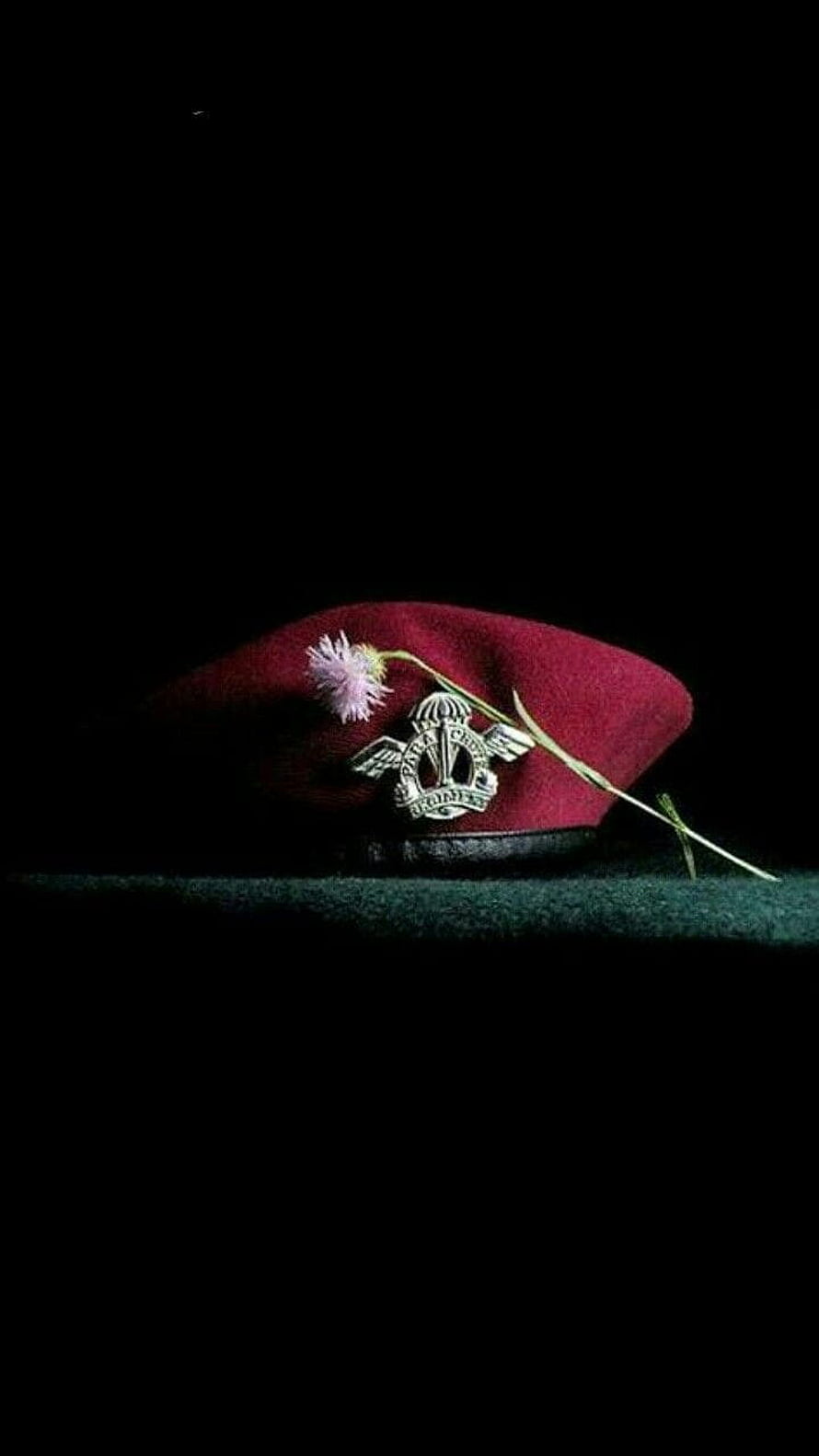 Maroon Beret with Para Commando Badge and Thistle on Dark Background HD phone wallpaper