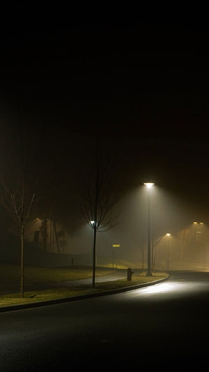 Foggy Night Street Scene With Glowing Streetlights And Bare Trees HD phone wallpaper
