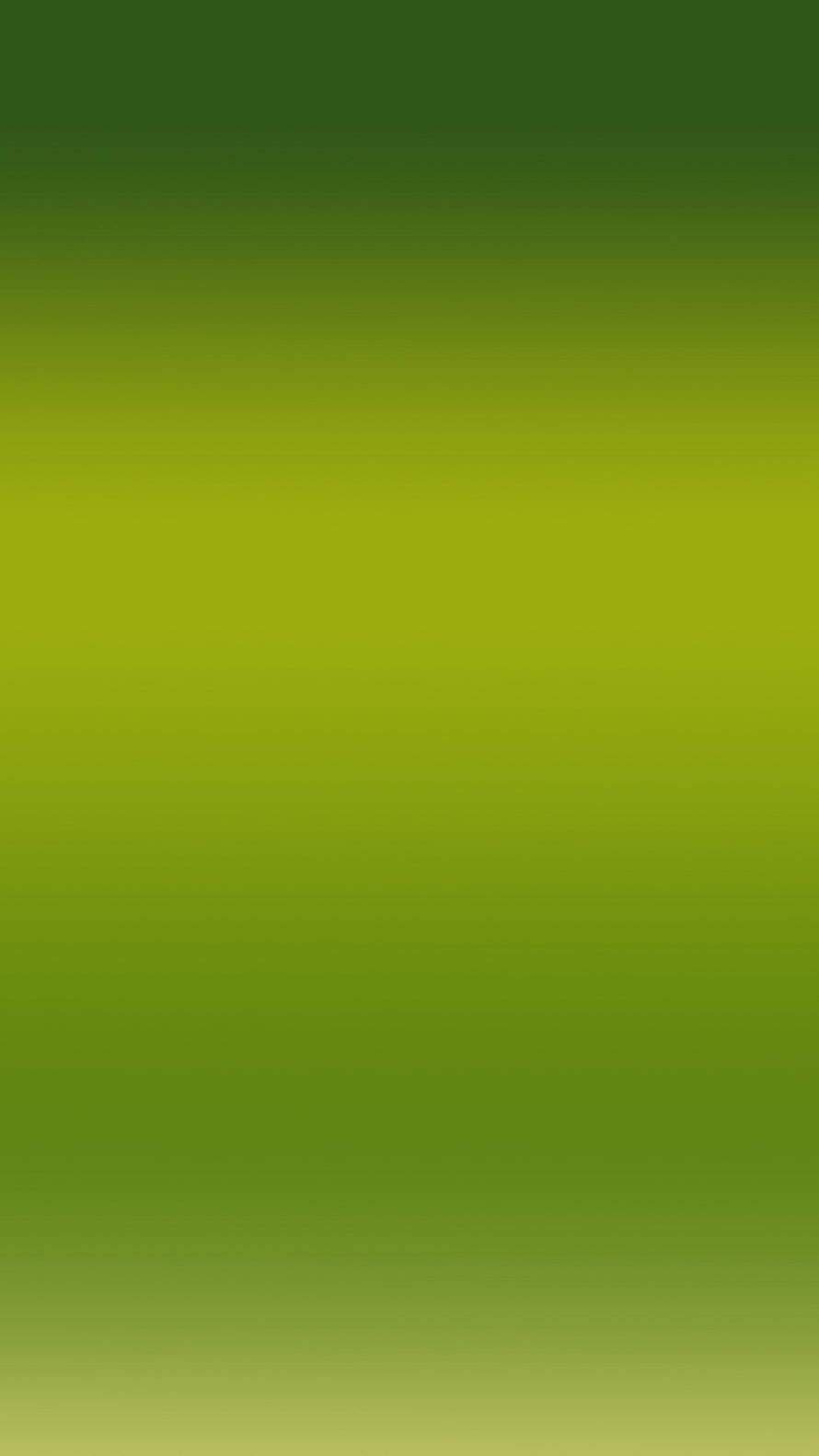 Smooth Vertical Green Gradient Background with Soft Blurred Color Transitions HD phone wallpaper