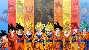 Dragon Ball Super Goku Evolution Timeline Featuring All Saiyan Transformations HD wallpaper