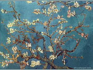 Vincent Van Gogh Almond Blossom Painting with White Flowers on Blue Background HD wallpaper