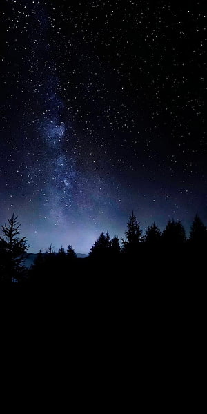 Milky Way Galaxy Rising Over Dark Pine Forest Silhouette at Night HD phone wallpaper