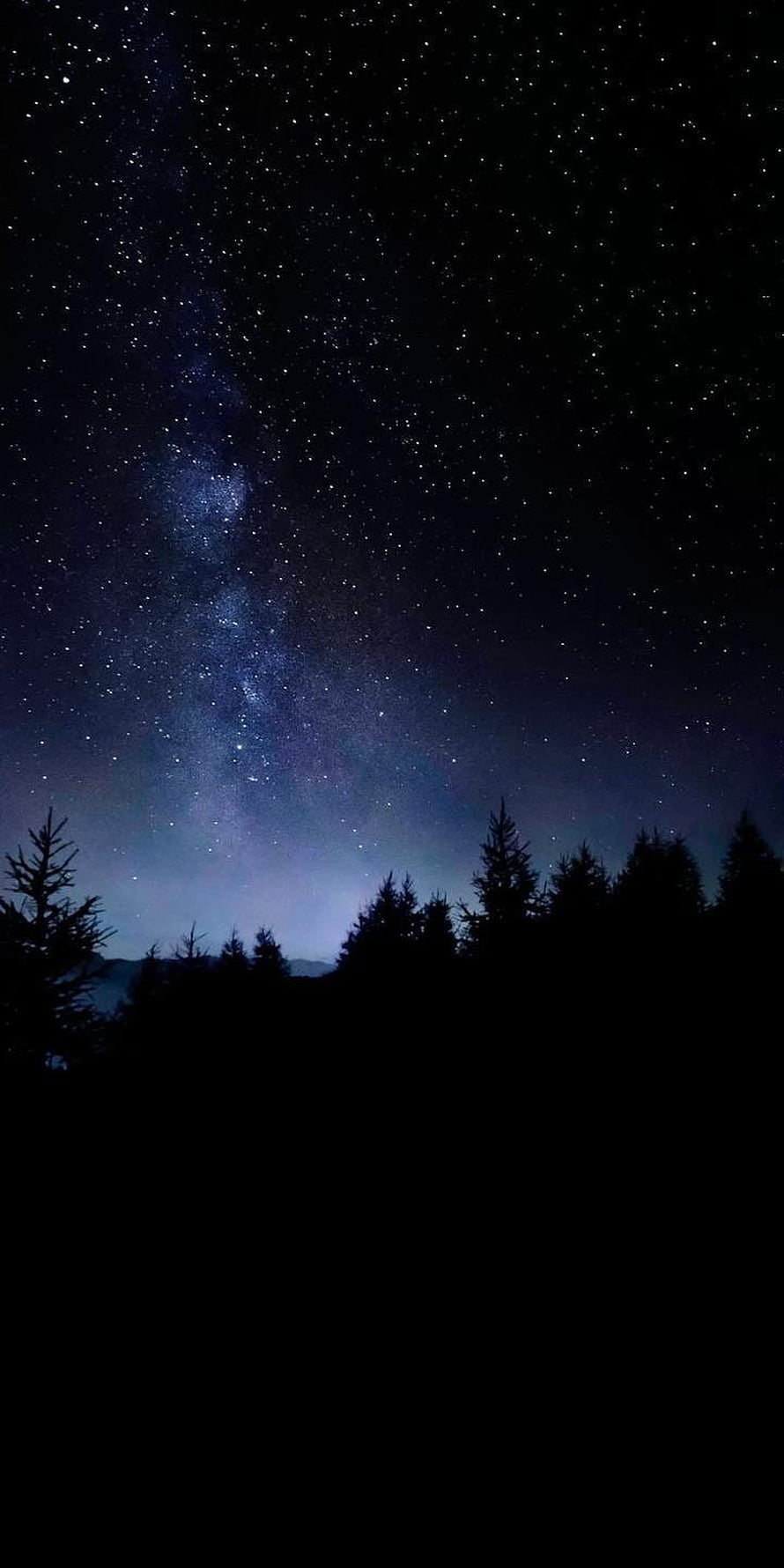 Milky Way Galaxy Rising Over Dark Pine Forest Silhouette at Night HD phone wallpaper