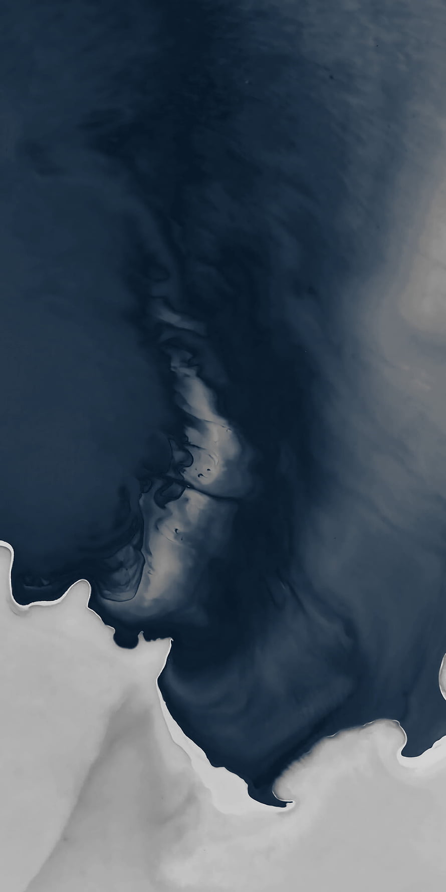 Dark Navy and White Fluid Ink Abstract Art with Swirling Organic Patterns HD phone wallpaper