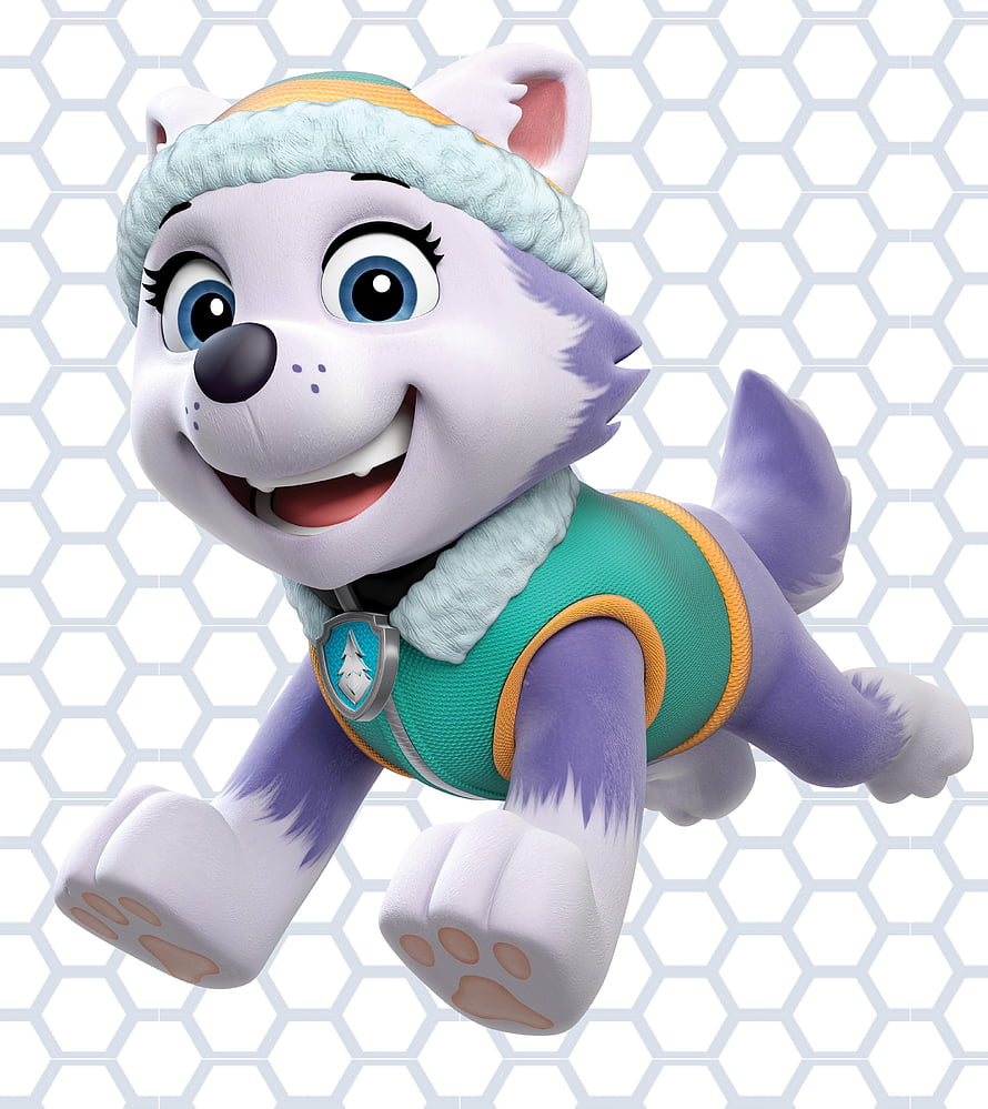 Everest the Arctic Husky from Paw Patrol in a Teal Winter Vest HD phone wallpaper