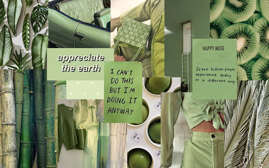 Sage Green Aesthetic Mood Board Featuring Nature, Fashion, and Inspirational Quotes HD wallpaper