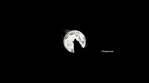 Black and White Wolf Howling at Full Moon Minimalist Night Sky HD wallpaper