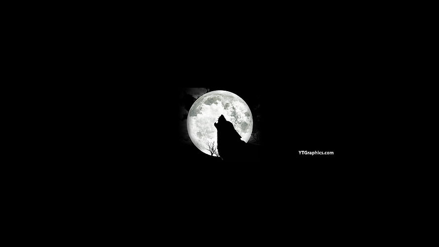 Black and White Wolf Howling at Full Moon Minimalist Night Sky HD wallpaper