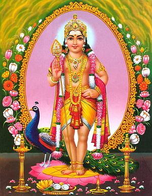Lord Murugan Standing on Peacock with Vel and Lotus Offering HD phone wallpaper