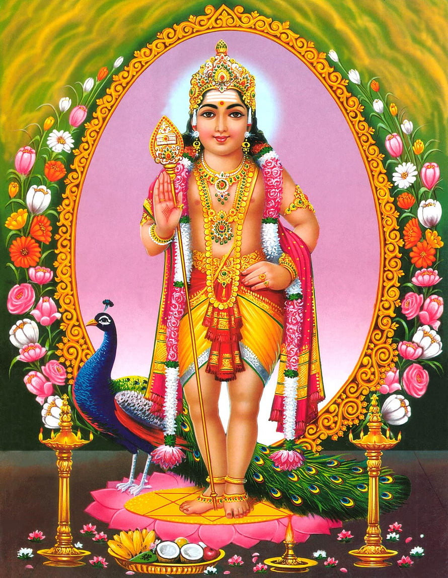 Lord Murugan Standing on Peacock with Vel and Lotus Offering HD phone wallpaper