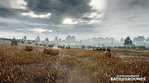 PlayerUnknown's Battlegrounds Wheat Field Map with Hay Bales and Overcast Sky HD wallpaper