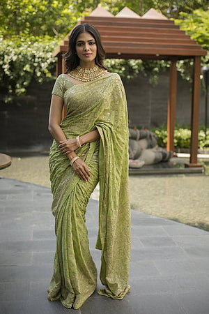 Malavika Mohanan in an Olive Green Embroidered Saree with Gold Jewelry HD phone wallpaper