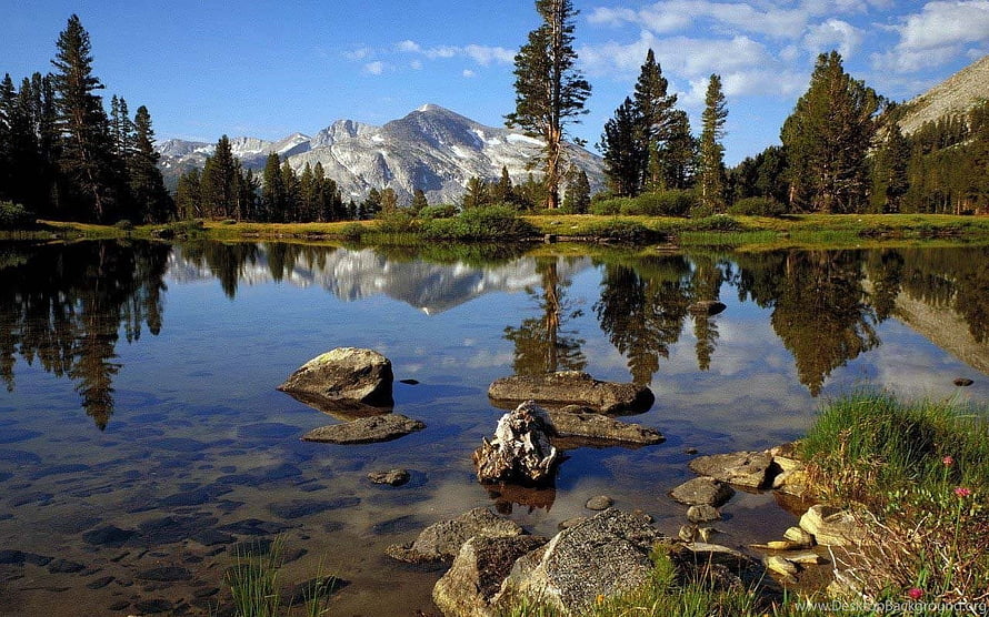 Alpine Lake Reflections with Snow-Capped Mountains and Pine Forest HD wallpaper